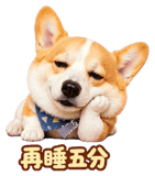 888723202