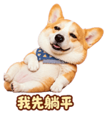 888723204