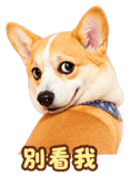 888723205