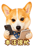 888723206