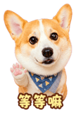 888723207