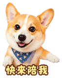 888723208