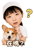 888723778
