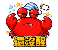 888723955