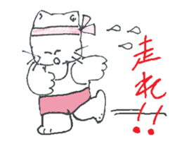 8887293
