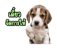 888733873