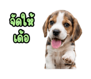 888733874