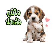 888733900
