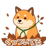 888738937