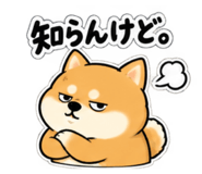 888752540
