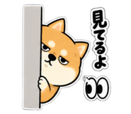888752547