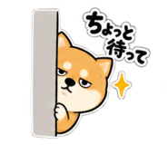 888752548