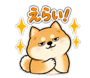 888752549