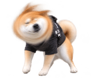 888753041
