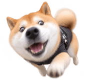 888753042