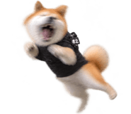 888753043