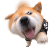 888753044