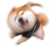 888753045