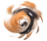 888753046