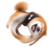 888753047
