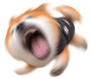 888753048