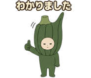 888753243