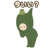888753254