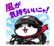 888753294