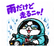 888753297