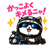 888753303