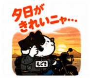 888753305