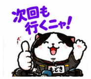 888753309