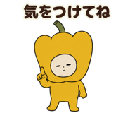 888753428
