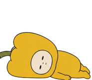 888753446