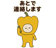 888753447