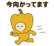 888753462