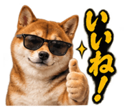 888769234