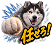 888769246