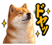 888769250