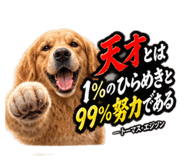 888769251