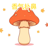 888771698