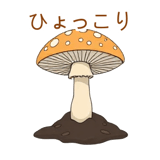 888771931
