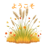 888771965