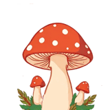 888771977