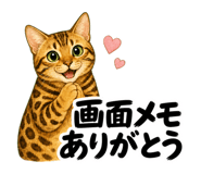 888786802