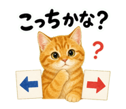 888786808