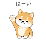888787834