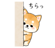 888787841