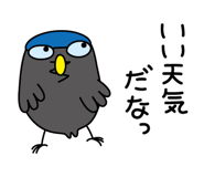 888792062