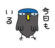 888792066